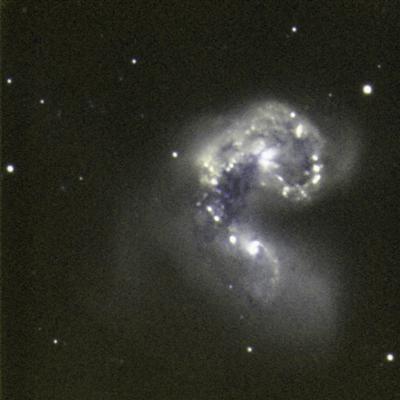 Chris NGC4038